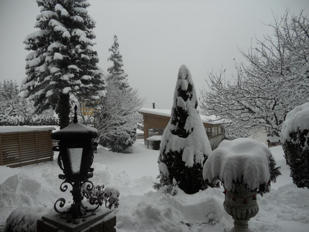 Ferienwohnung Gerti Kalt Lieserhofen ห้อง รูปภาพ