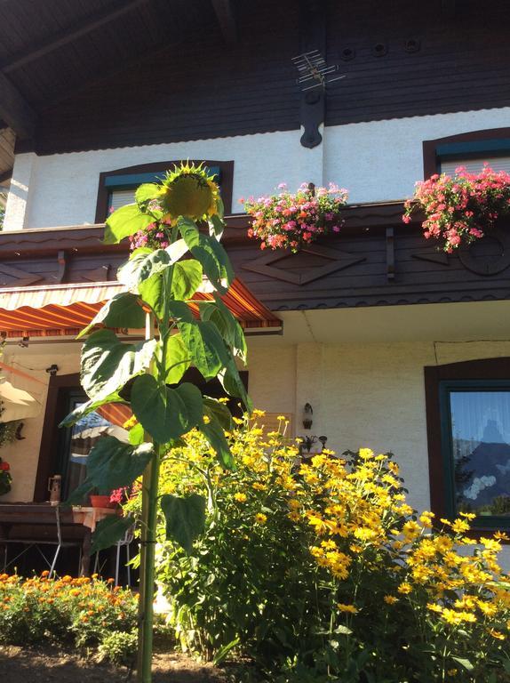 Ferienwohnung Gerti Kalt Lieserhofen ภายนอก รูปภาพ