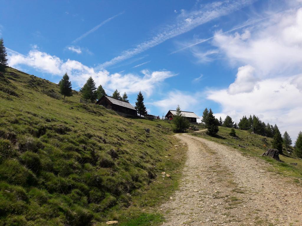 Ferienwohnung Gerti Kalt Lieserhofen ห้อง รูปภาพ